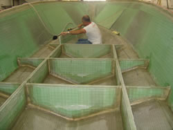 garantia estrutural barco de pesca victory